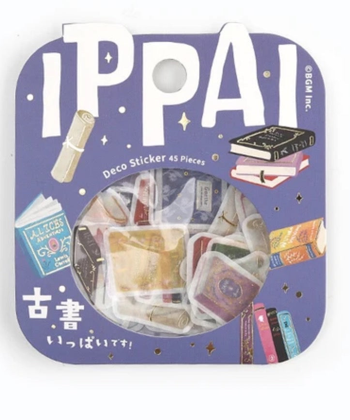 BGM 2024 New Release "Full" Journal Stickers Old Books